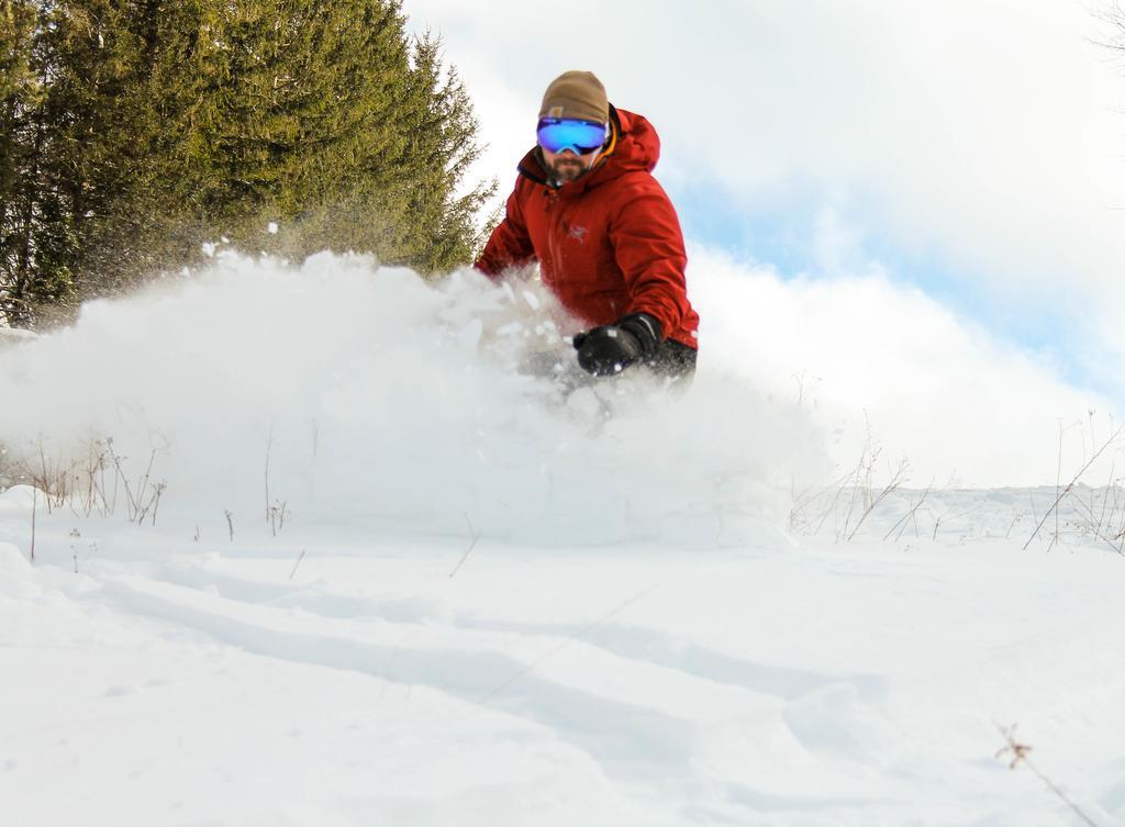 Canaan Valley Resort State Park Davis Eksteriør billede