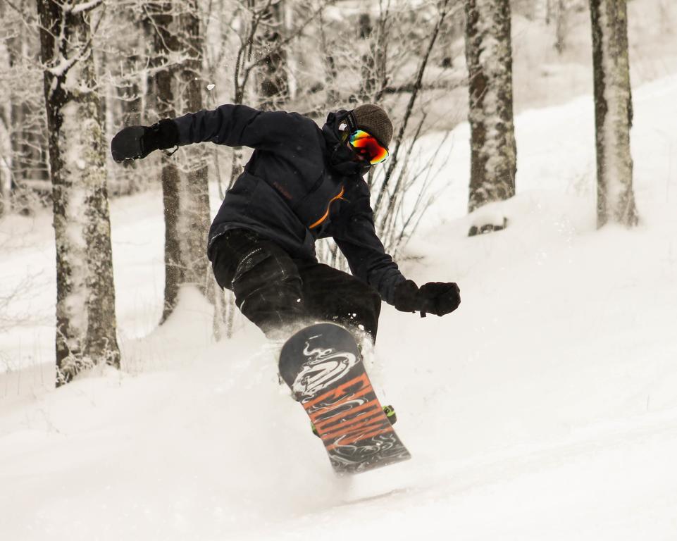 Canaan Valley Resort State Park Davis Eksteriør billede