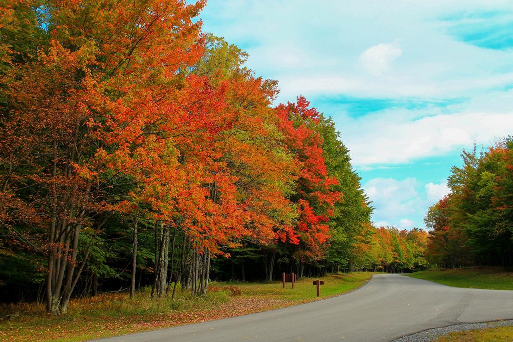 Canaan Valley Resort State Park Davis Eksteriør billede