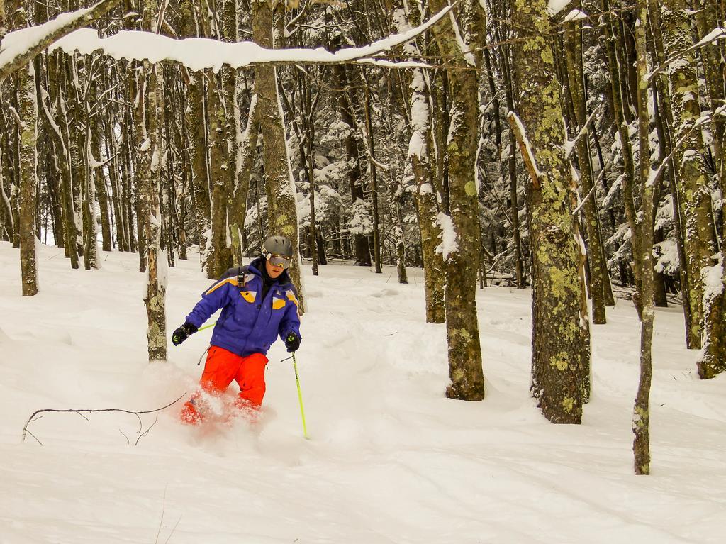Canaan Valley Resort State Park Davis Eksteriør billede